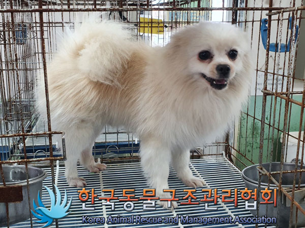 한국동물구조관리협회_441409202301873